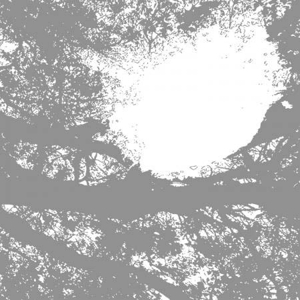 COMETS ON FIRE - Field Recordings From