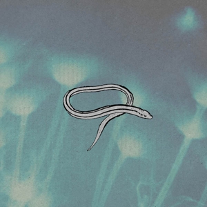 CROOKED FINGERS - Bring On The Snakes