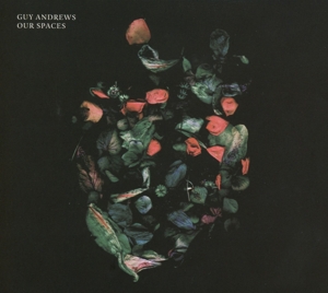 GUY ANDREWS - OUR SPACES